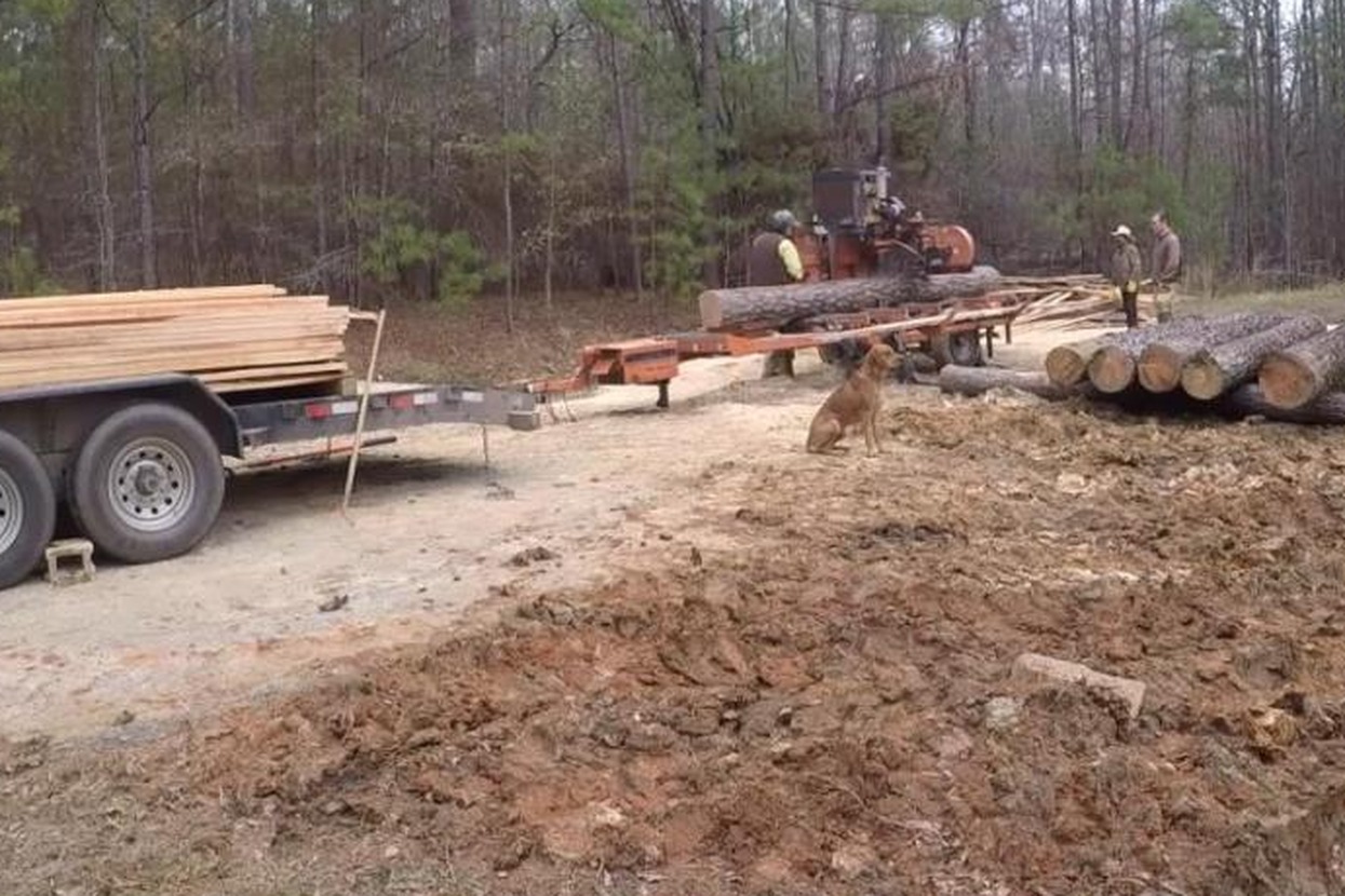 Wood-Mizer LT40 hydraulic sawmill production site with milled lumber stacked on a trailer and logs on the deck